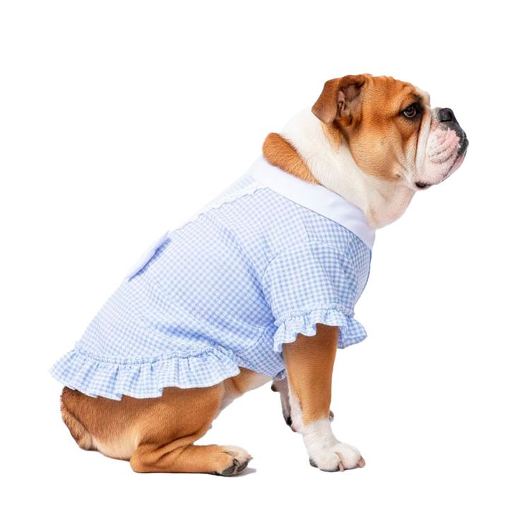 Polo Vestido Yupi The Pug Surtido T3