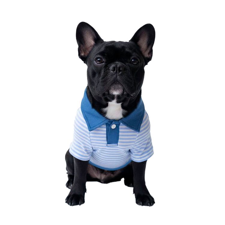 Camisero Yupi The Pug Surtido T5