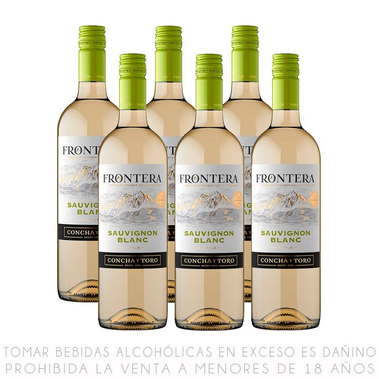 Sixpack Vino Blanco Sauvignon Blanc Frontera 750ml