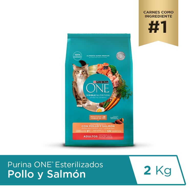 Alimento para Gatos Purina One Pollo y Salmón 2kg